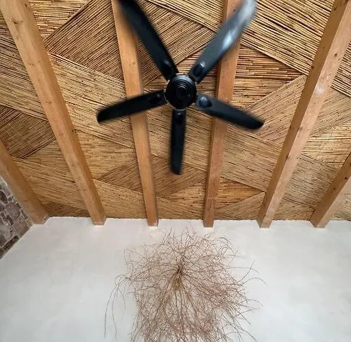 Spitaki Дом отдыха *